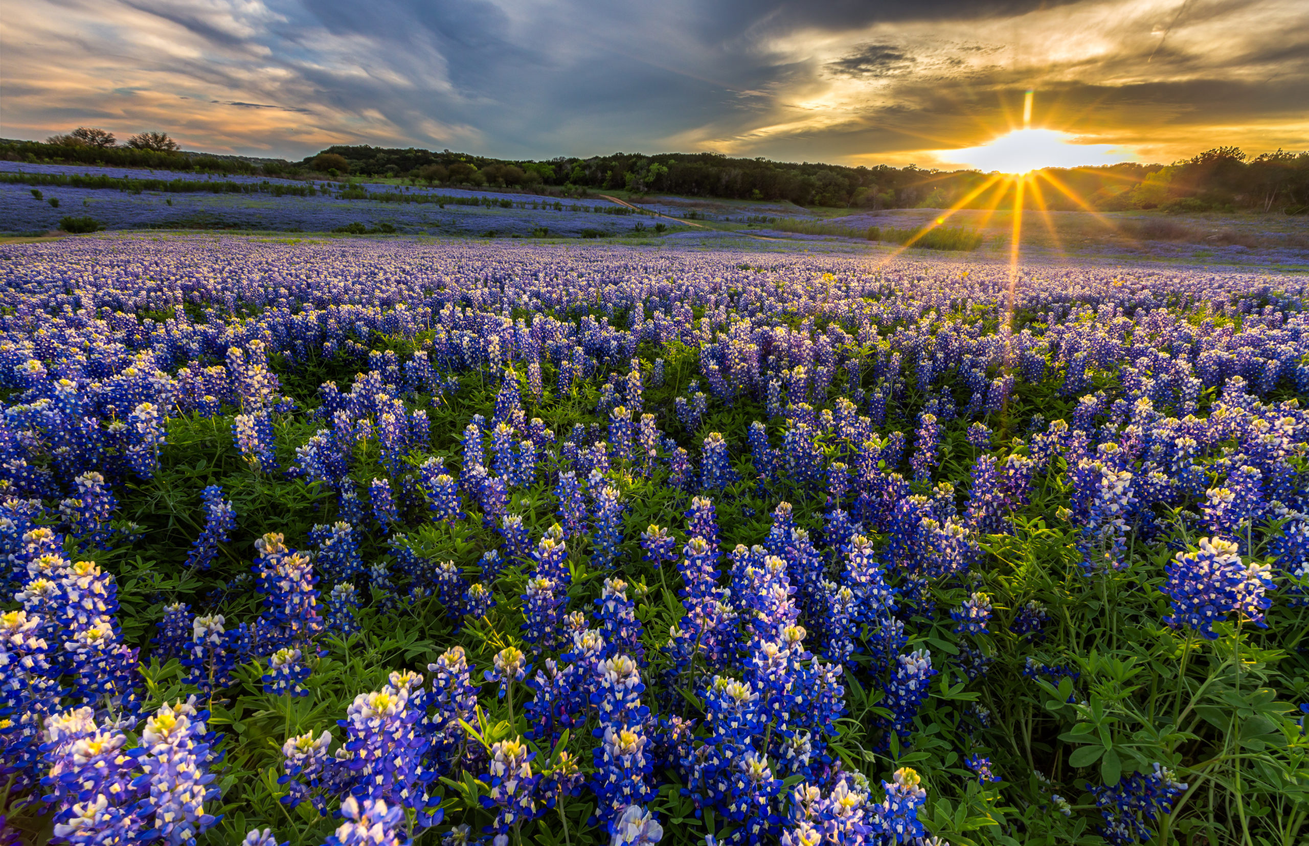 Texas Human Health and Services Commission Awarded 2021 System of Care ...